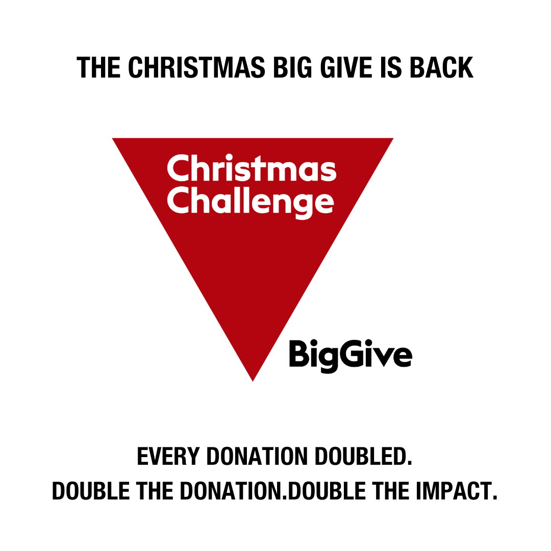 The Christmas Big Give is here! image